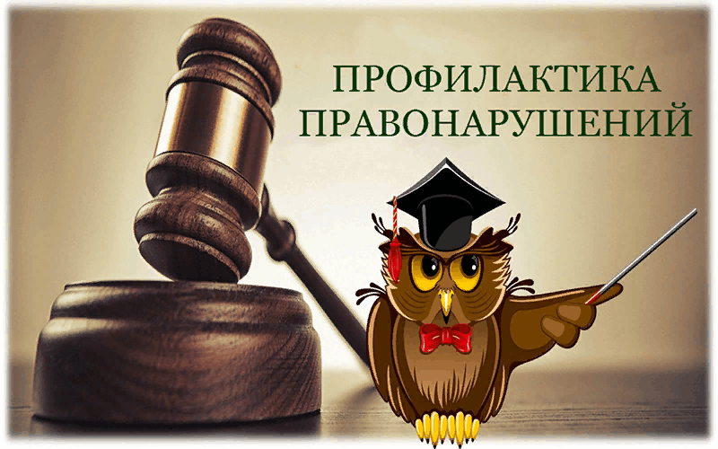 Профилактика правонарушений и укрепление общественного порядка.